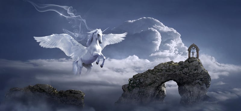 Unicorn Meadows
